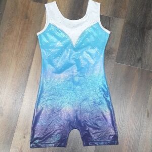 Blue and Purple Shimmer Shorts Leotard
